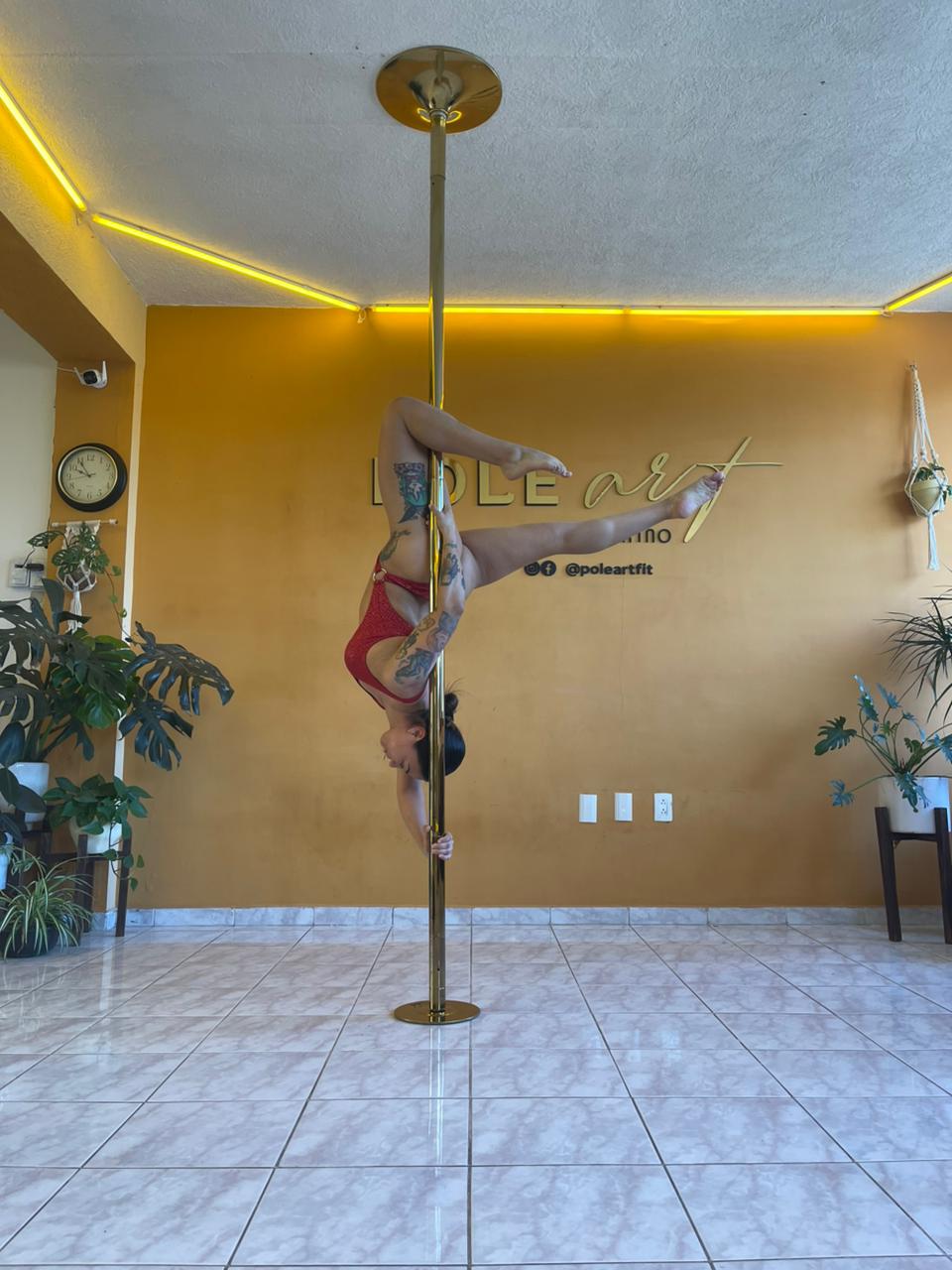 PHOTO-2026-02-14-12-31-17 2