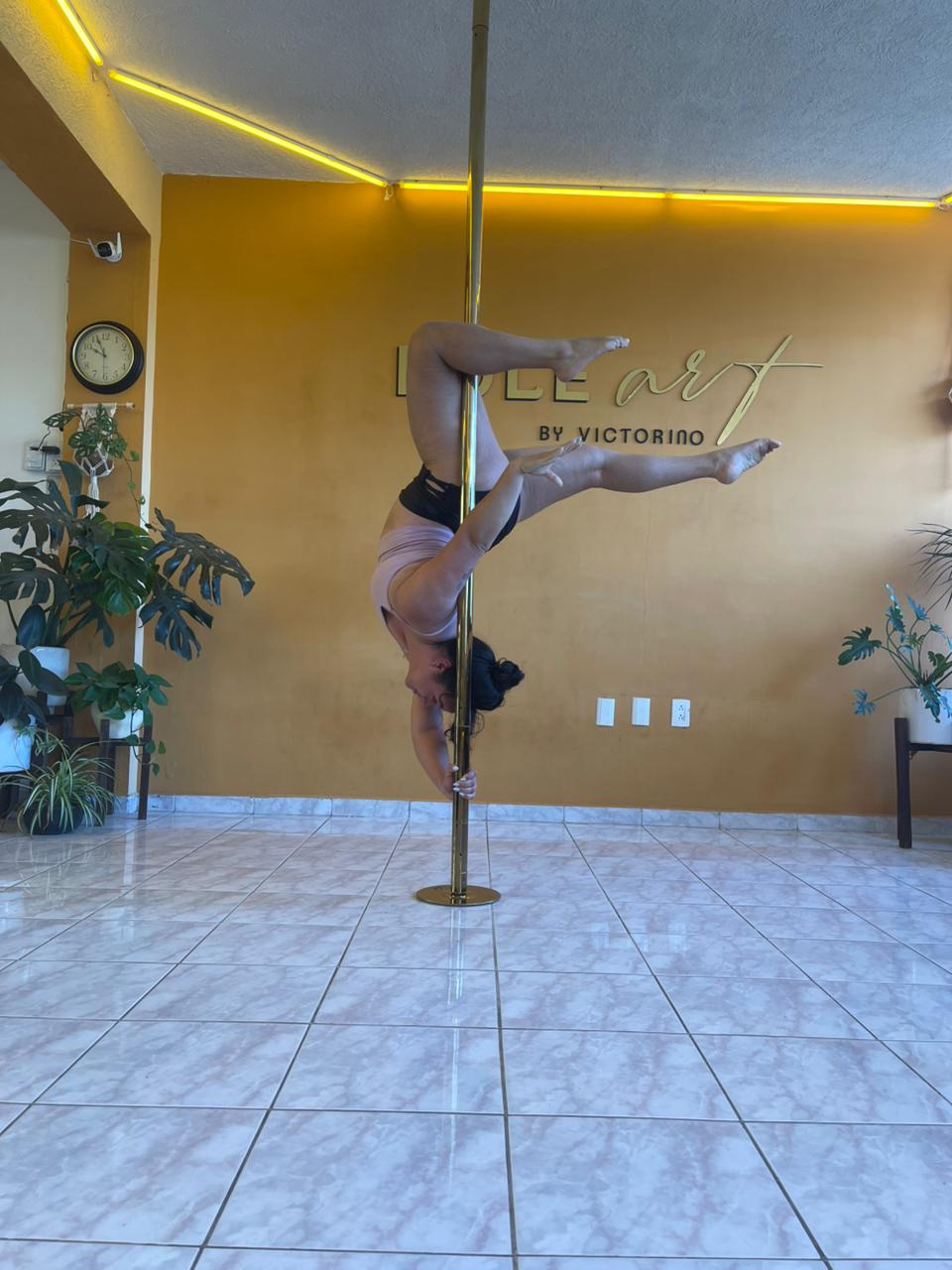 PHOTO-2026-02-14-12-31-17 4