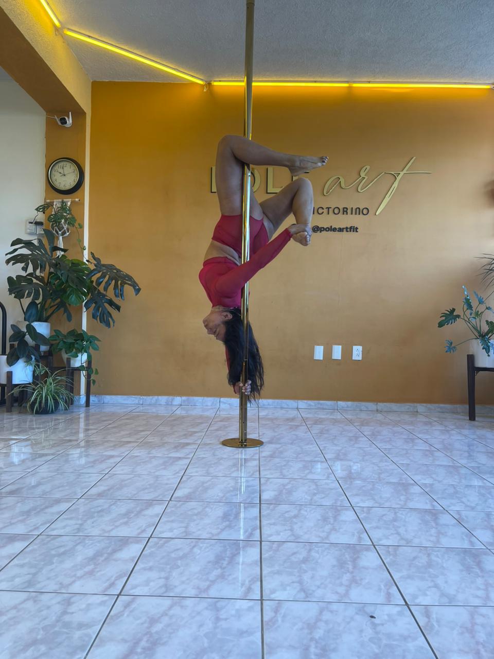 PHOTO-2026-02-14-12-31-18 2